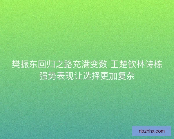 樊振东回归之路充满变数 王楚钦林诗栋强势表现让选择更加复杂 樊振东回归之路充满变数 王楚钦林诗栋强势表现让选择更加复杂