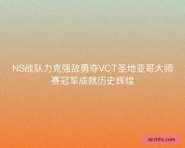 NS战队力克强敌勇夺VCT圣地亚哥大师赛冠军成就历史辉煌