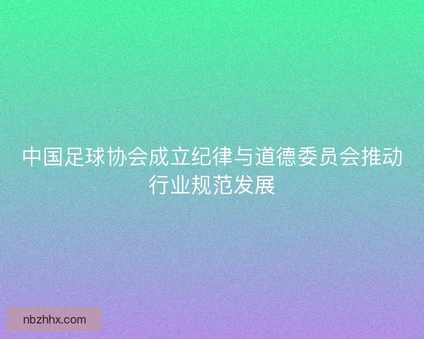 中国足球协会成立纪律与道德委员会推动行业规范发展